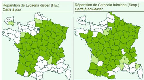 Indéterminé